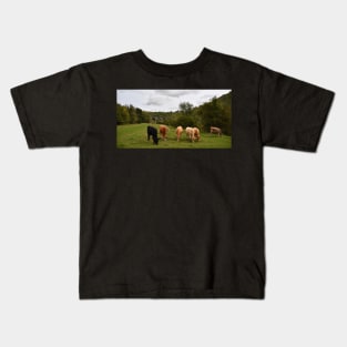 Headstone Viaduct  Monsal Dale Kids T-Shirt